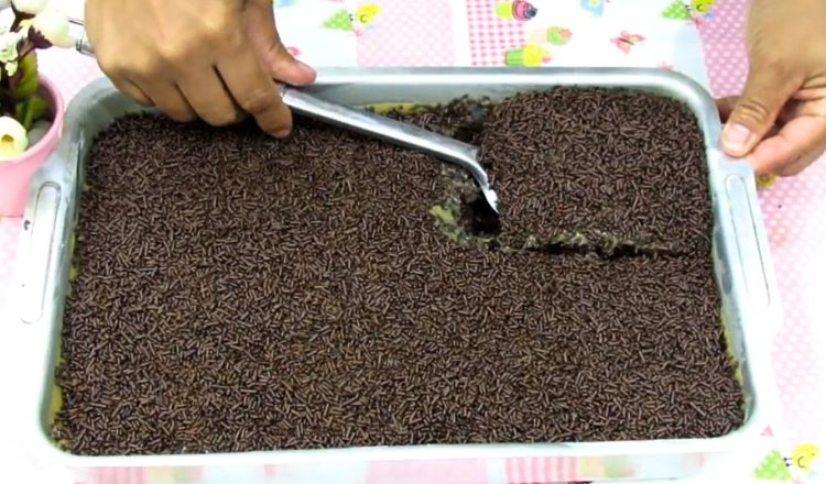 Bolo de chocolate com cobertura de doce de leite