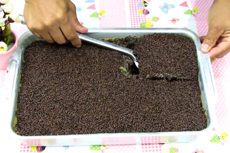Bolo de chocolate com cobertura de doce de leite