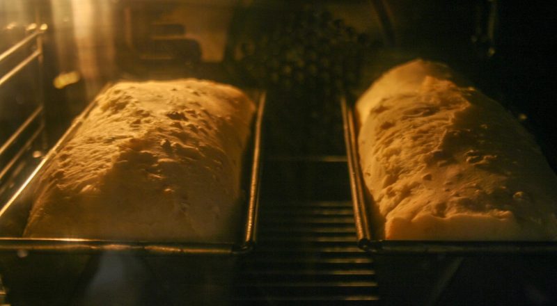Qual a temperatura para assar pão no forno elétrico